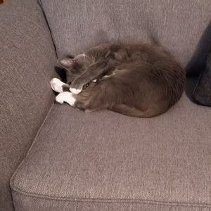 Meet your Posher, Emel